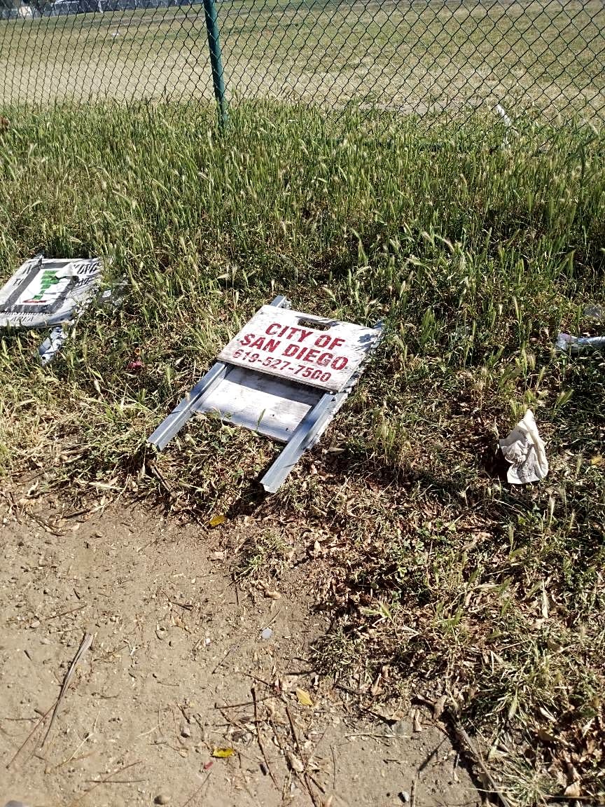 Image submitted with report