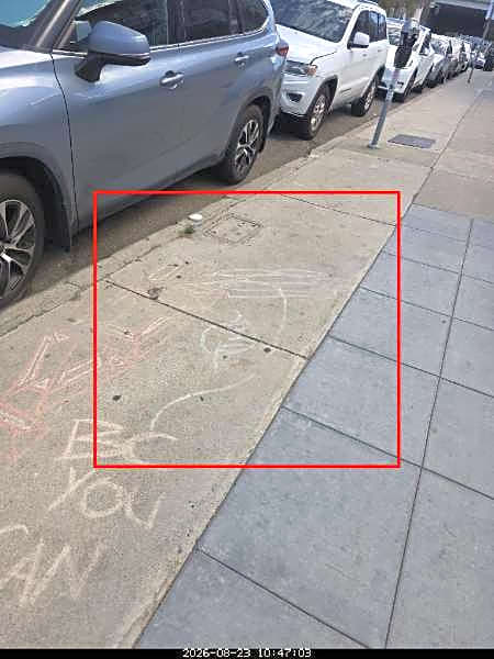 Image submitted with report