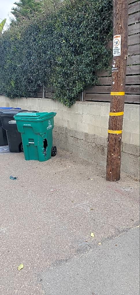 Image submitted with report