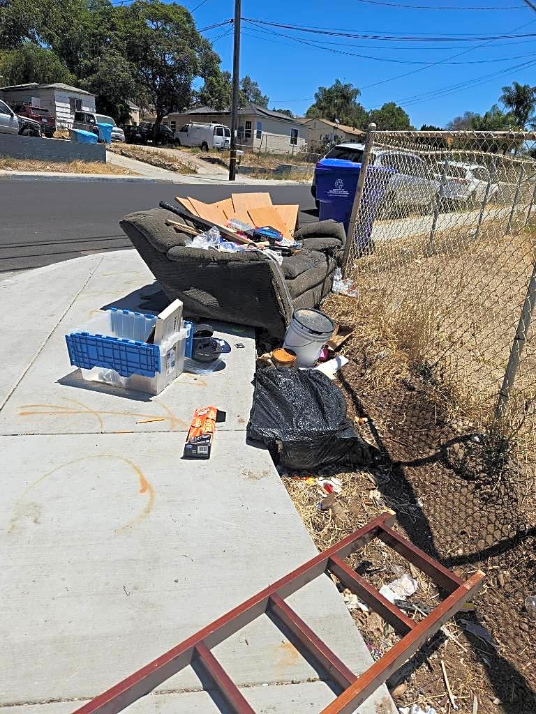 Image submitted with report