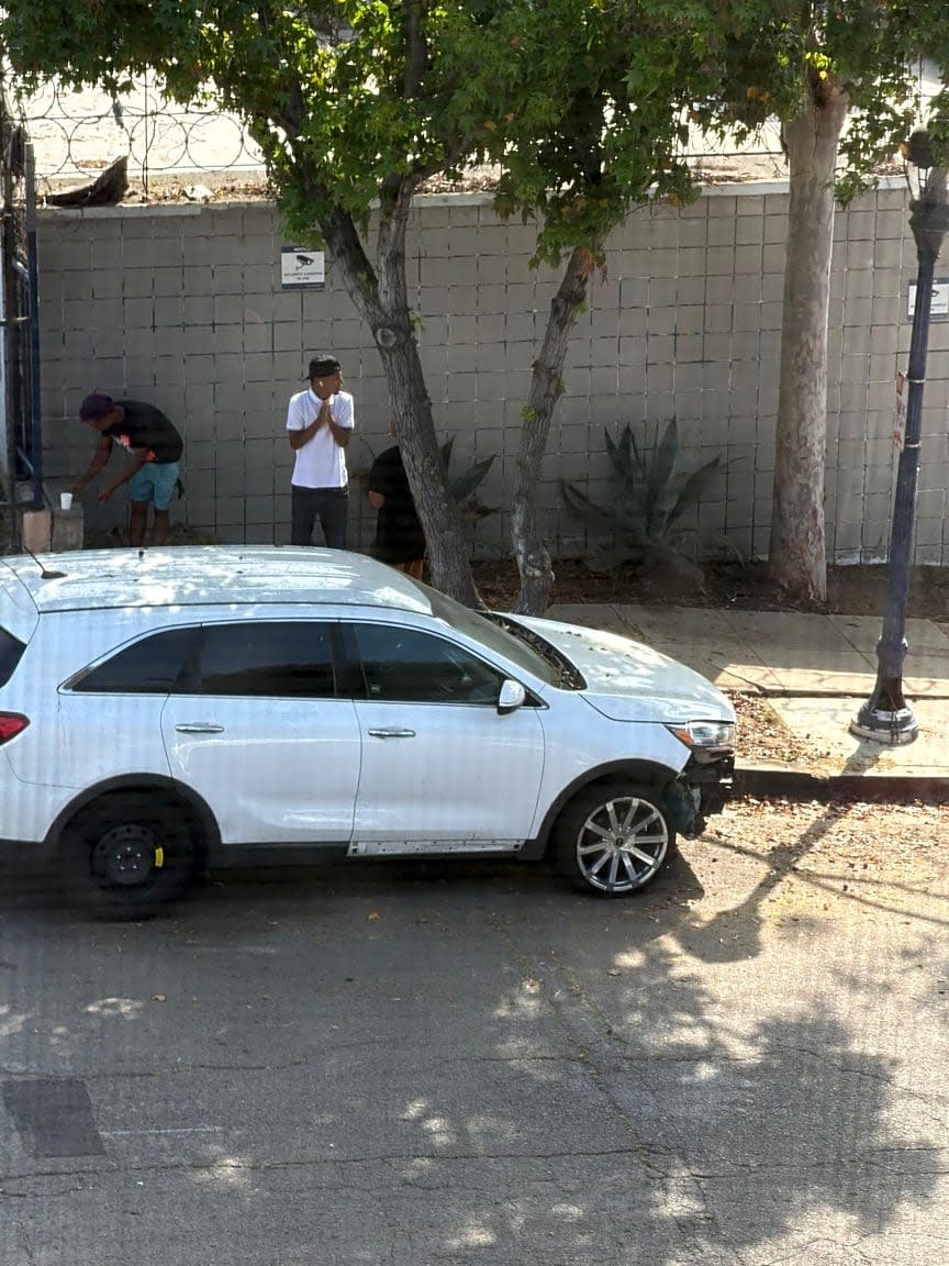 Image submitted with report