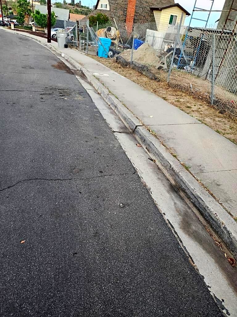 Image submitted with report
