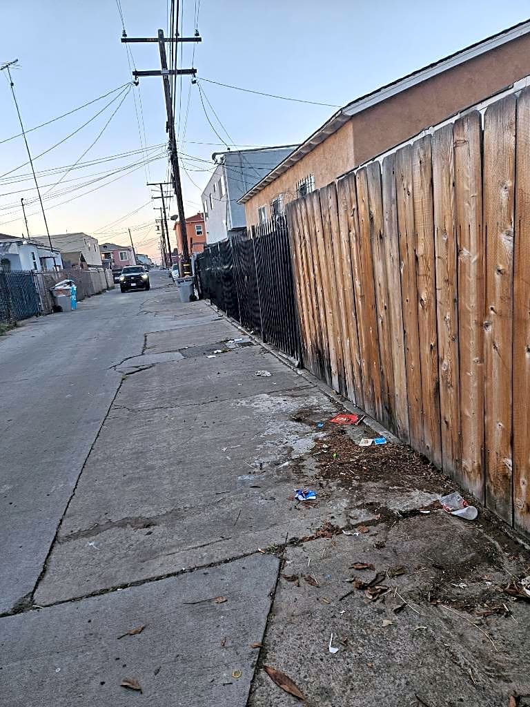Image submitted with report