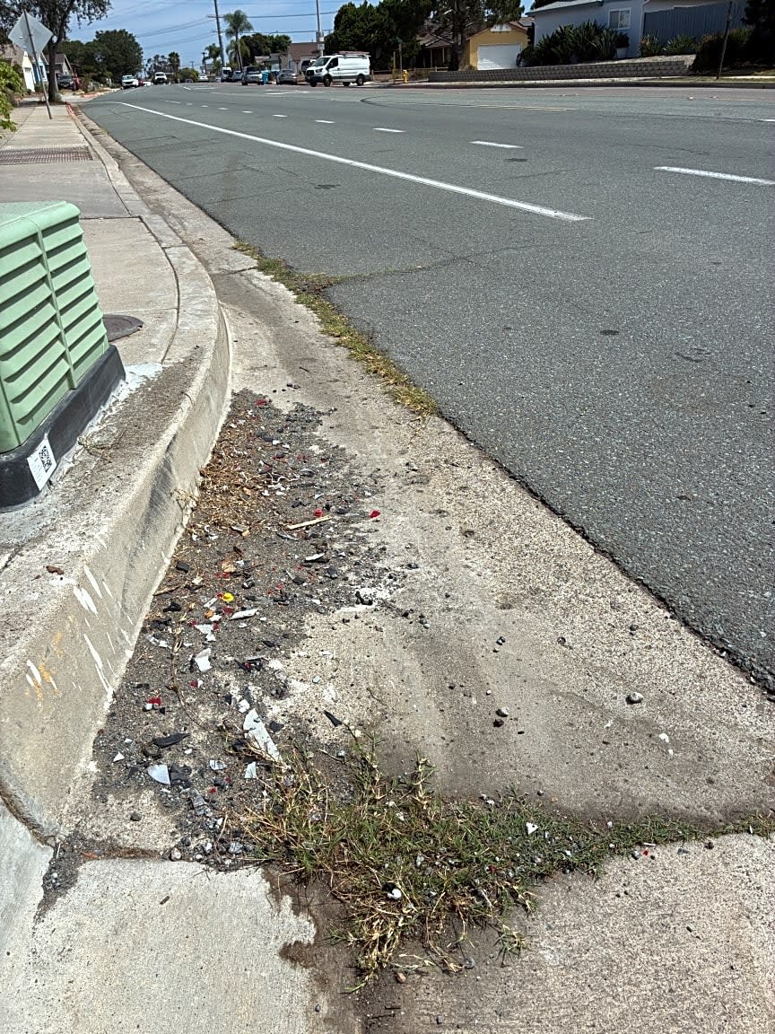 Image submitted with report