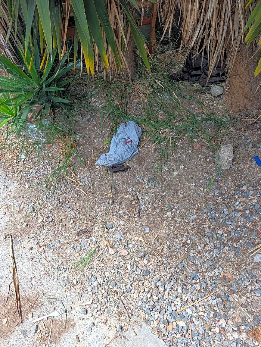 Image submitted with report