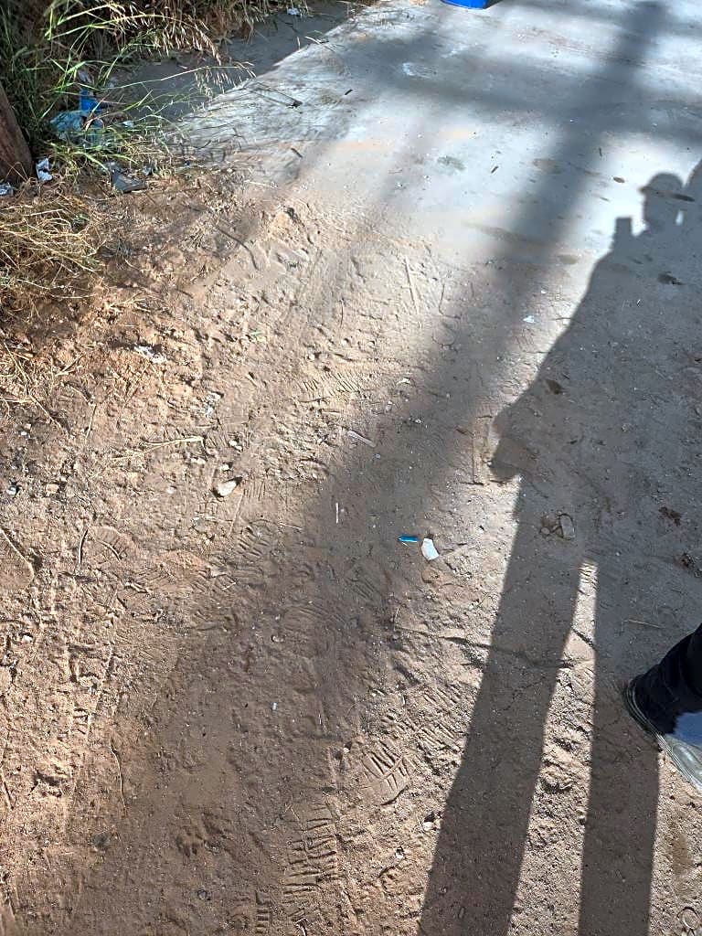 Image submitted with report