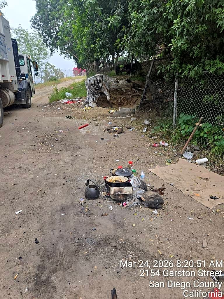 Image submitted with report