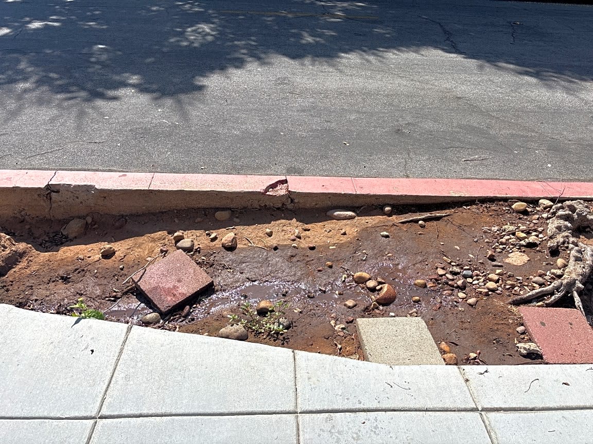 Image submitted with report