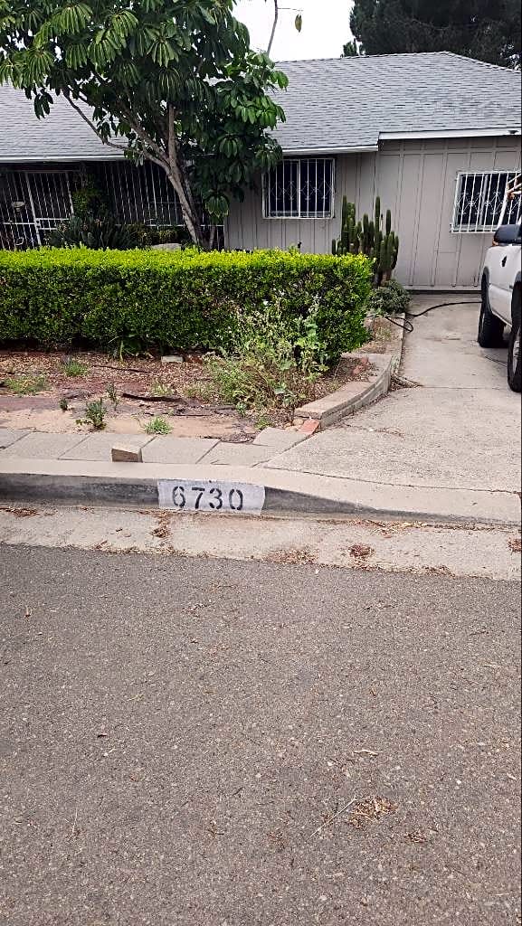 Image submitted with report