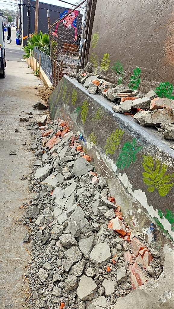 Image submitted with report