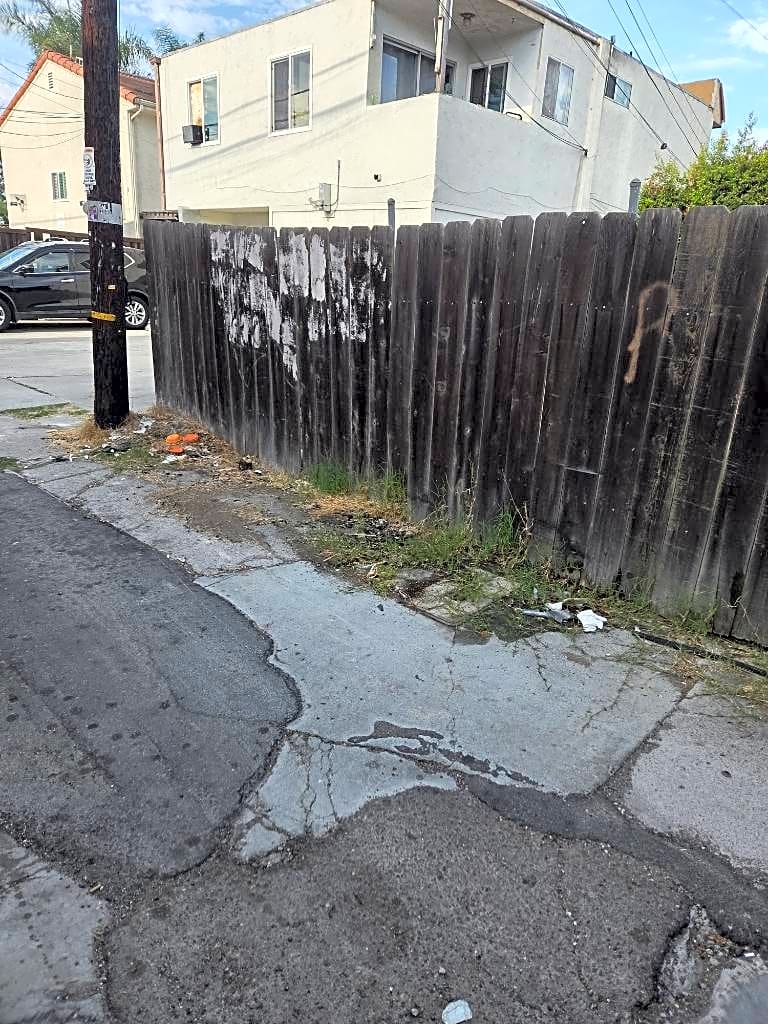 Image submitted with report