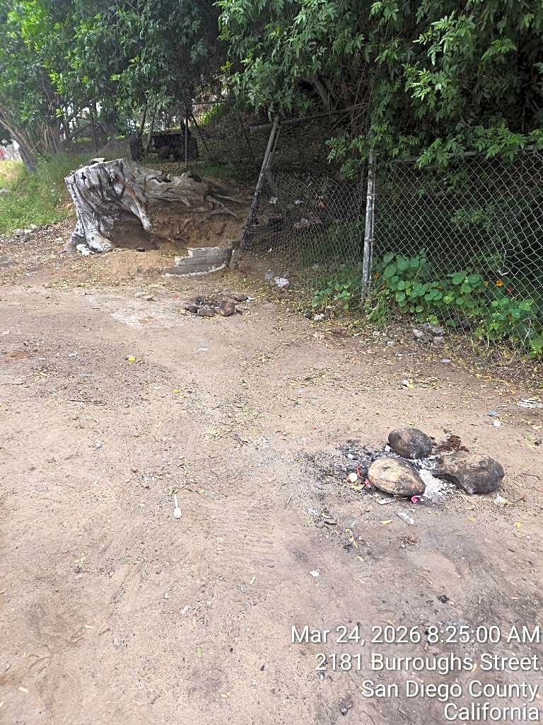 Image submitted with report