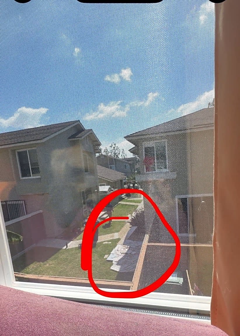 Image submitted with report