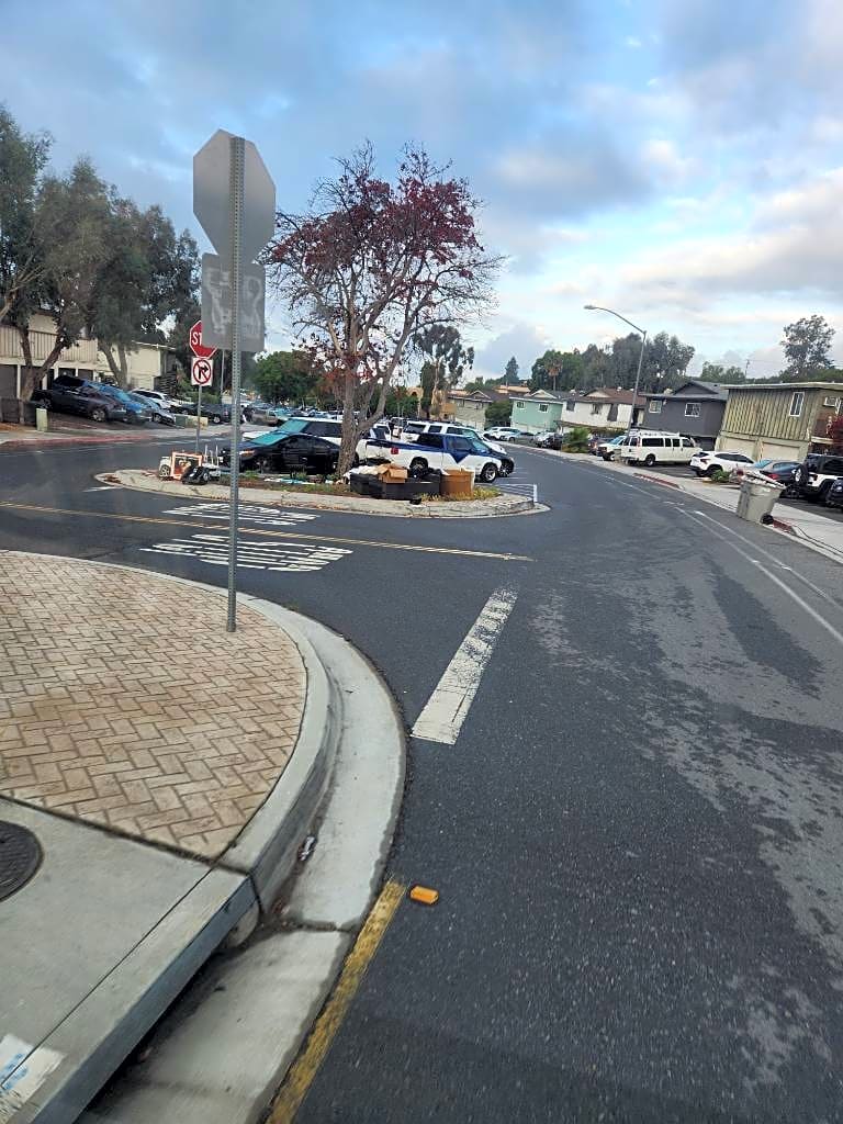 Image submitted with report