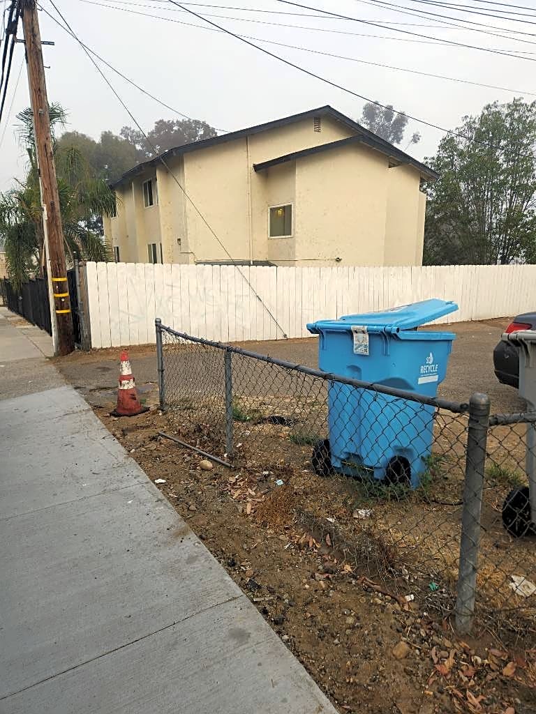 Image submitted with report