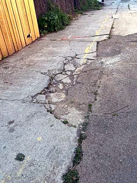 Image submitted with report