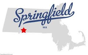 Springfield 311