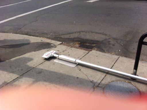 Image submitted with report