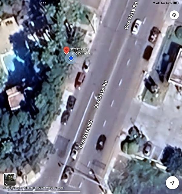Image submitted with report