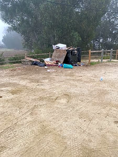 Image submitted with report