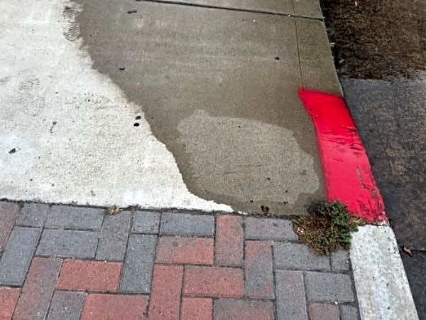 Image submitted with report
