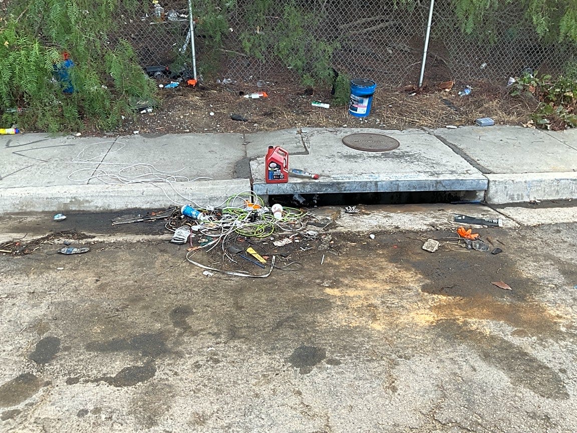 Image submitted with report