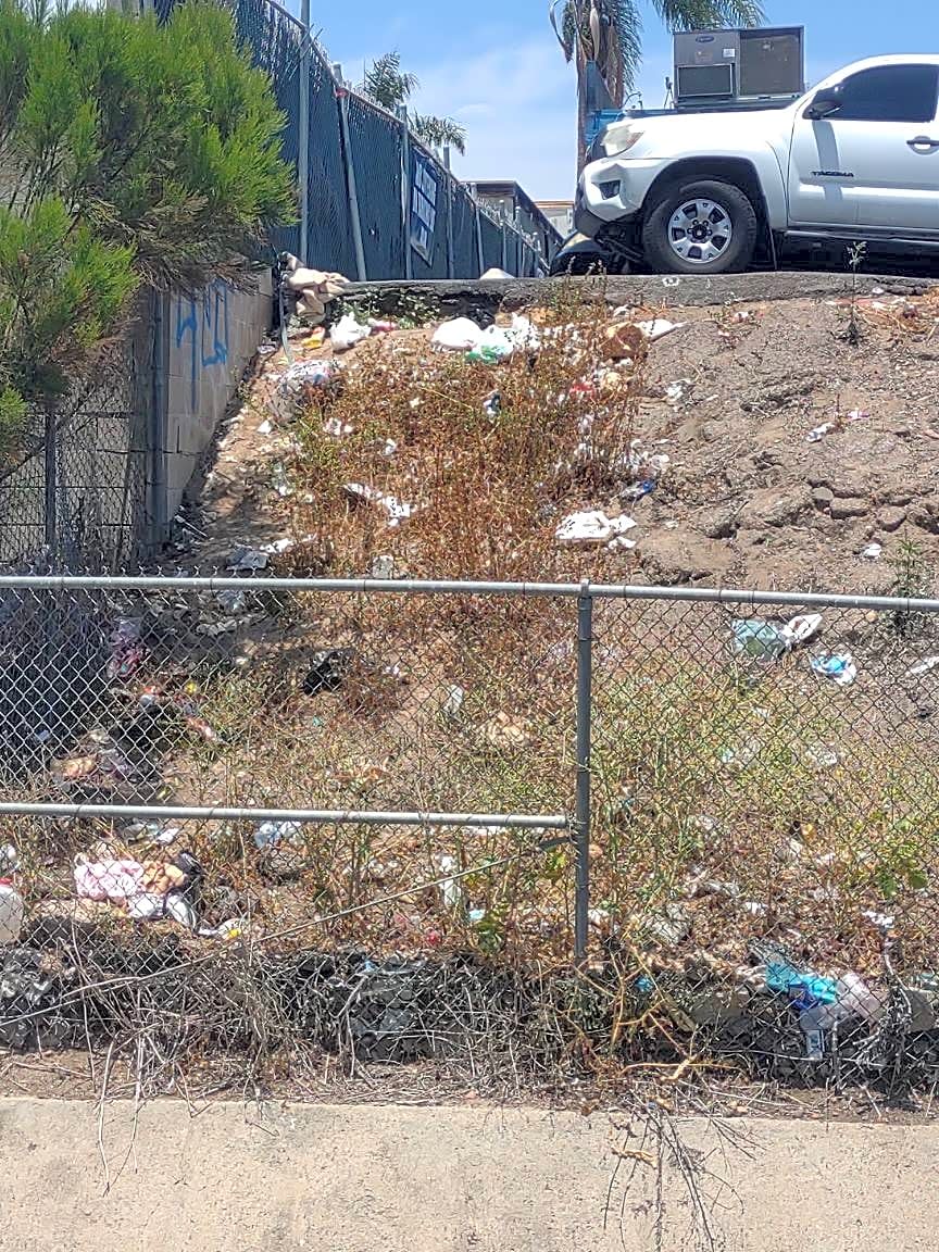 Image submitted with report