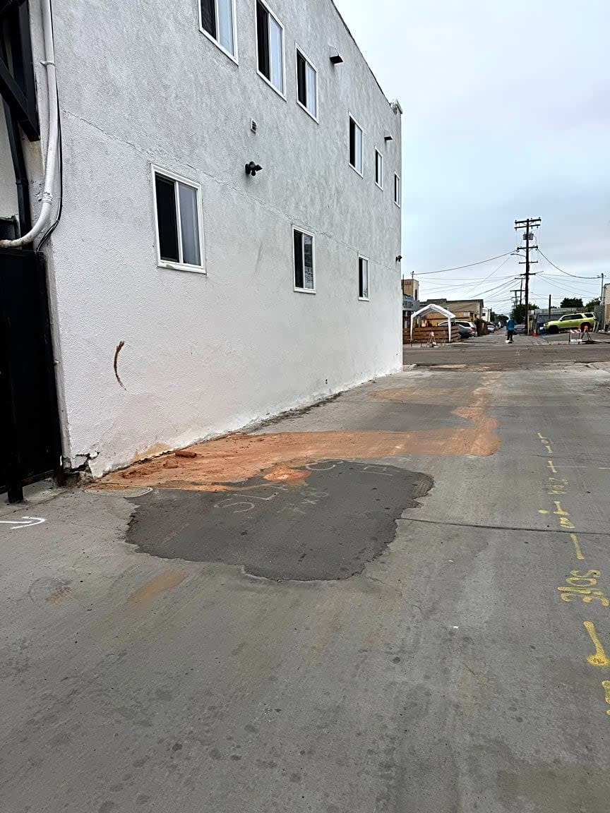 Image submitted with report