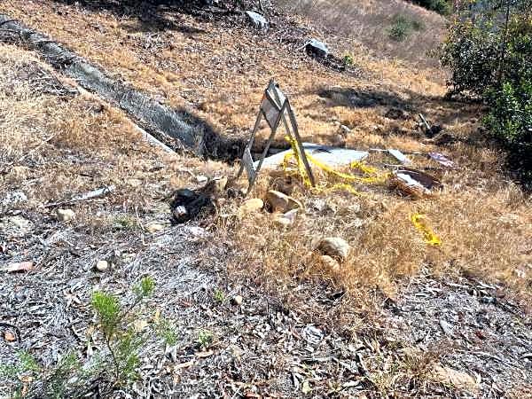 Image submitted with report