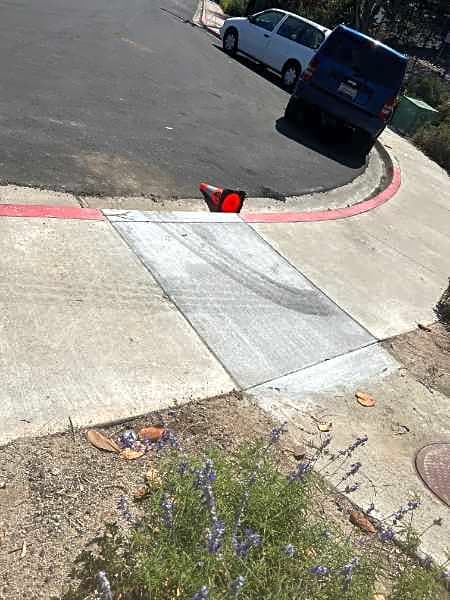 Image submitted with report