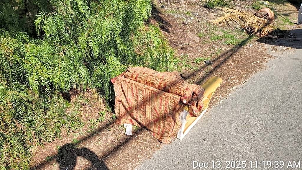 Image submitted with report