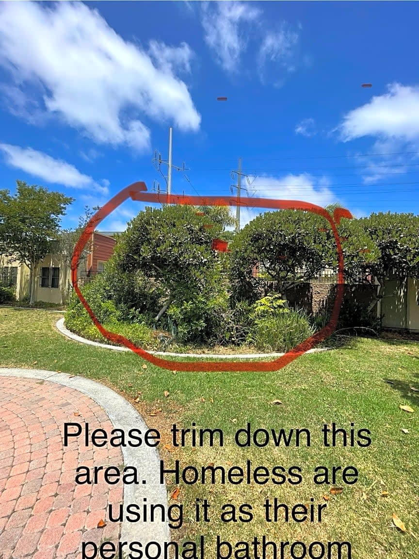 Image submitted with report