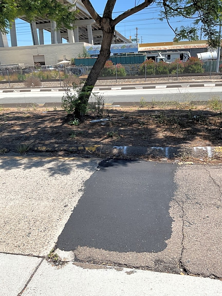 Image submitted with report