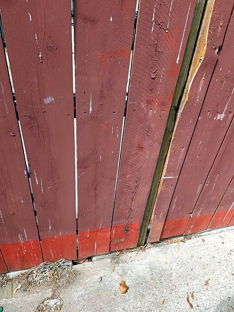 Image submitted with report