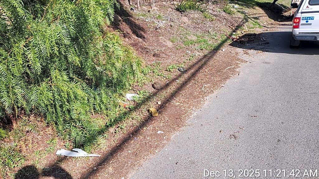 Image submitted with report