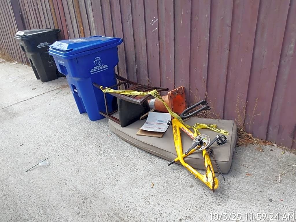 Image submitted with report