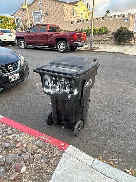 Image submitted with report
