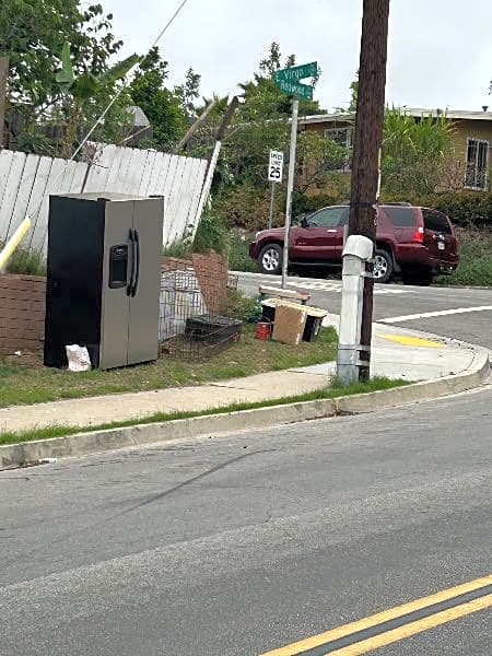 Image submitted with report