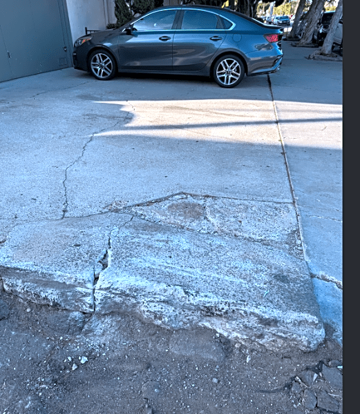 Image submitted with report
