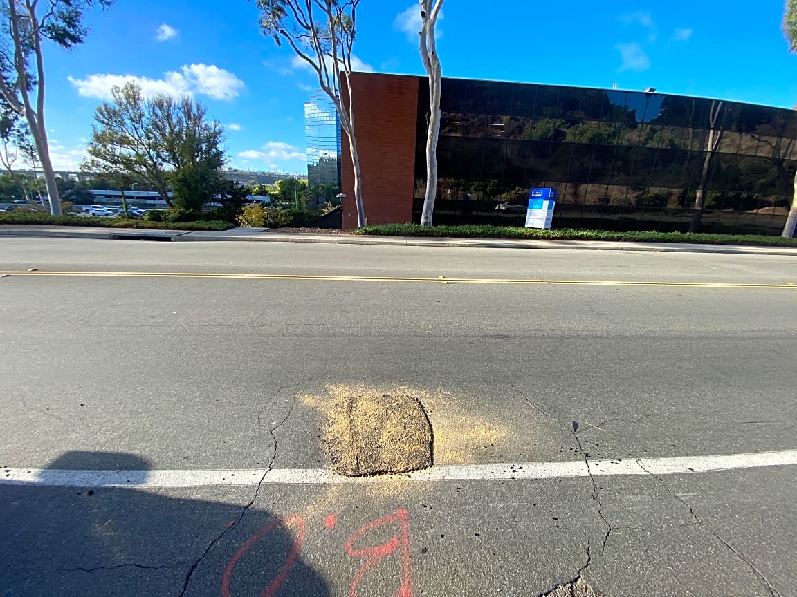 Image submitted with report