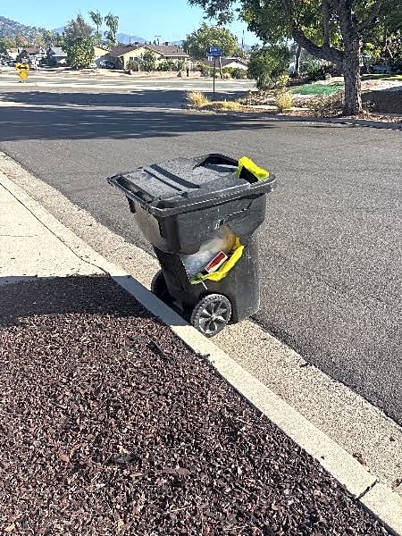 Image submitted with report