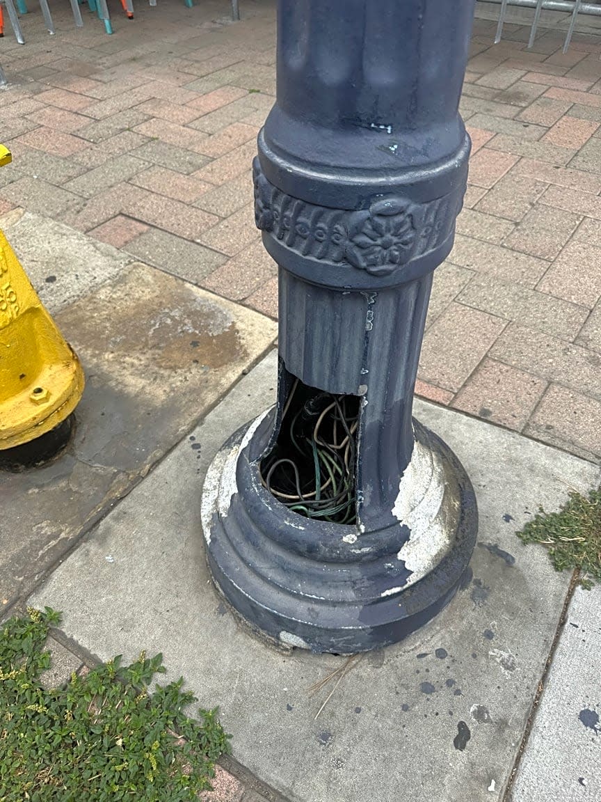 Image submitted with report