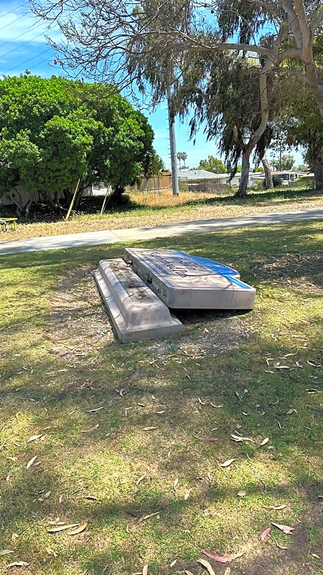 Image submitted with report