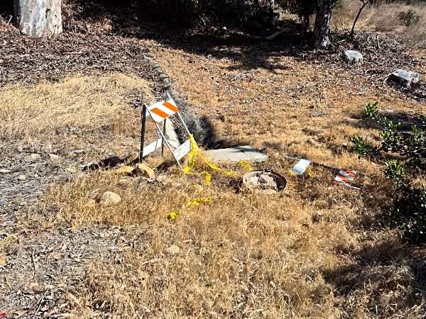 Image submitted with report