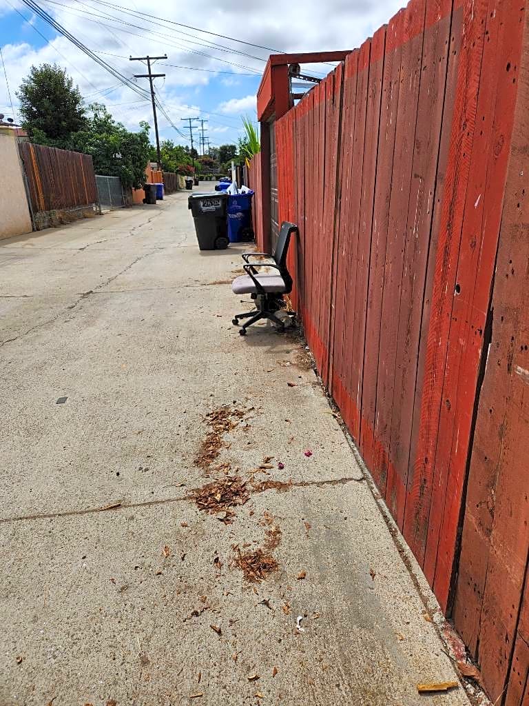 Image submitted with report