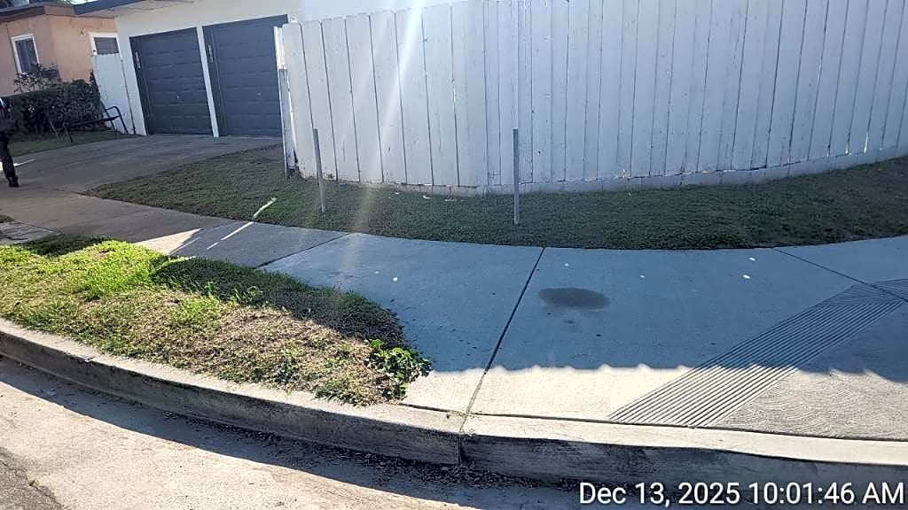 Image submitted with report