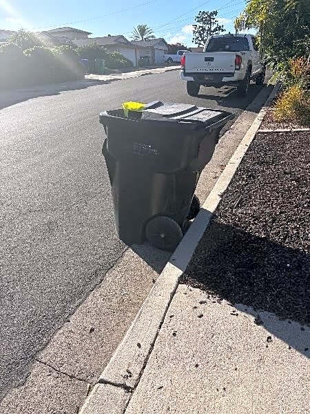 Image submitted with report