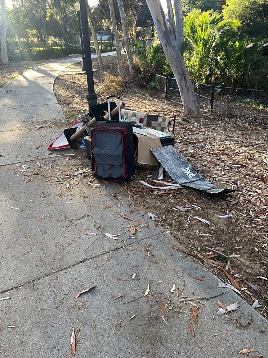 Image submitted with report