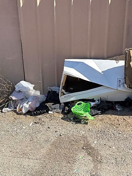 Image submitted with report
