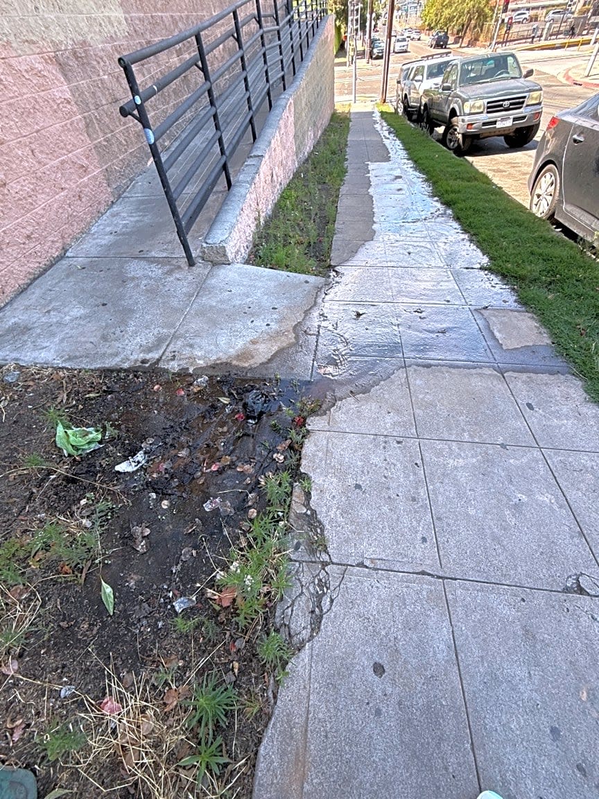 Image submitted with report